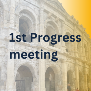 MuSiC4Diabetes meets in Nîmes – great discussions and two lovely meeting days